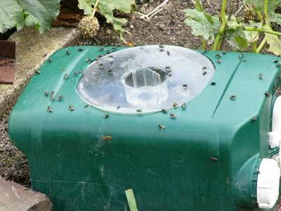 Tips omringen Cordelia Deksel BliZzz Megatrap (vliegenval) - Producten voor de bestrijding van  vliegen, muggen, wespen en dazen